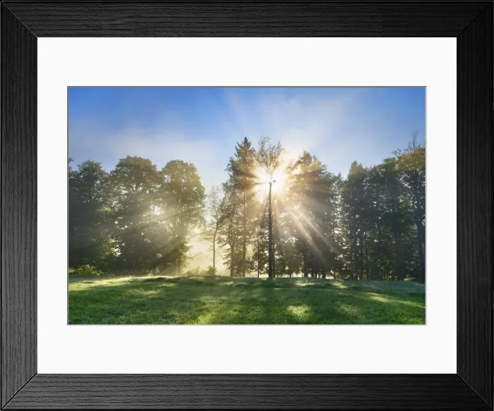 Framed Print : Misty mood in forest - Germany, Bavaria, Upper Bavaria, Garmisch-Partenkirchen, Murnau Framed Print : Misty mood in forest - Germany, Bavaria, Upper Bavaria, Garmisch-Partenkirchen, Murnau