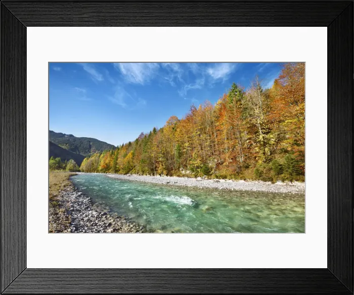 Framed Print : Beech forest in autumn colours and brook - Austria, Tyrol, Schwaz, Risstal Framed Print : Beech forest in autumn colours and brook - Austria, Tyrol, Schwaz, Risstal