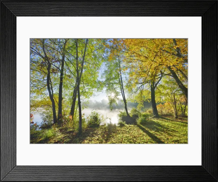 Framed Print : Deciduous forest at lake - Germany, Bavaria, Upper Bavaria, Starnberg Framed Print : Deciduous forest at lake - Germany, Bavaria, Upper Bavaria, Starnberg