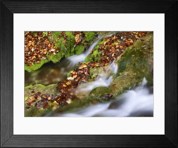 Framed Print : Forest brook with moss - Germany, Baden-Wurttemberg, Tubingen, Bad Urach Framed Print : Forest brook with moss - Germany, Baden-Wurttemberg, Tubingen, Bad Urach