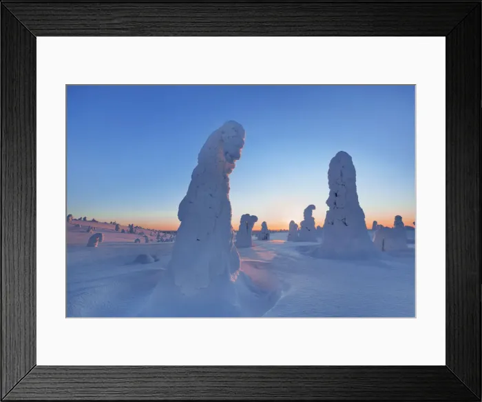Framed Print : fell with snow covered spruces in winter - Finland, Eastern Lapland, Posio Framed Print : fell with snow covered spruces in winter - Finland, Eastern Lapland, Posio