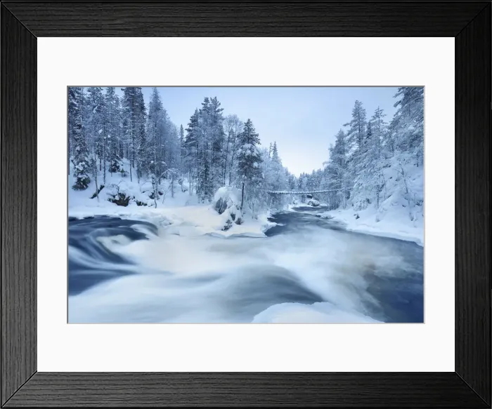 Framed Print : Boreal forest at Kitkajoki - Finland, Northern Ostrobothnia, Oulanka Framed Print : Boreal forest at Kitkajoki - Finland, Northern Ostrobothnia, Oulanka