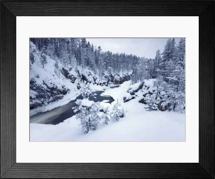 Framed Print : Boreal forest at Oulankajoki - Finland, Northern Ostrobothnia, Oulanka Framed Print : Boreal forest at Oulankajoki - Finland, Northern Ostrobothnia, Oulanka