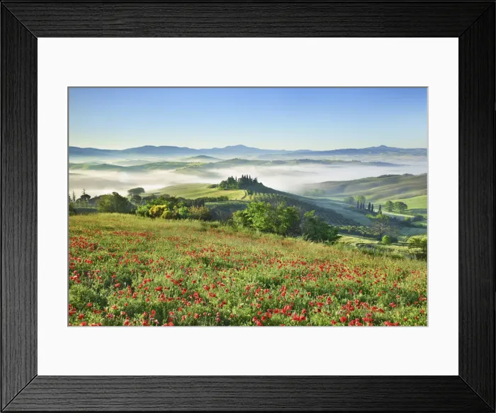 Framed Print : Tuscany landscape in fog with poppy field in front of Podere Belvedere - Italy, Tuscany Framed Print : Tuscany landscape in fog with poppy field in front of Podere Belvedere - Italy, Tuscany