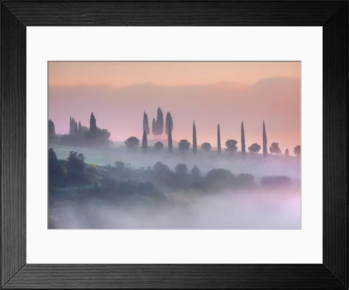 Framed Print : Tuscany landscape with cypresses in fog - Italy, Tuscany, Siena, Val d Orcia Framed Print : Tuscany landscape with cypresses in fog - Italy, Tuscany, Siena, Val d Orcia
