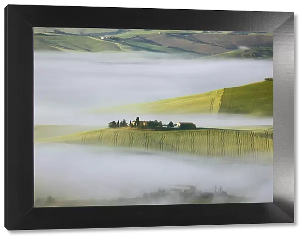 Tuscany landscape with Val d Orcia in fog - Italy, Tuscany, Siena