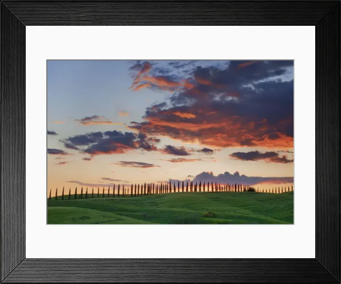 Framed Print : Cloud impression over corn field with cypresses - Italy, Tuscany, Siena, Buonconvento Framed Print : Cloud impression over corn field with cypresses - Italy, Tuscany, Siena, Buonconvento