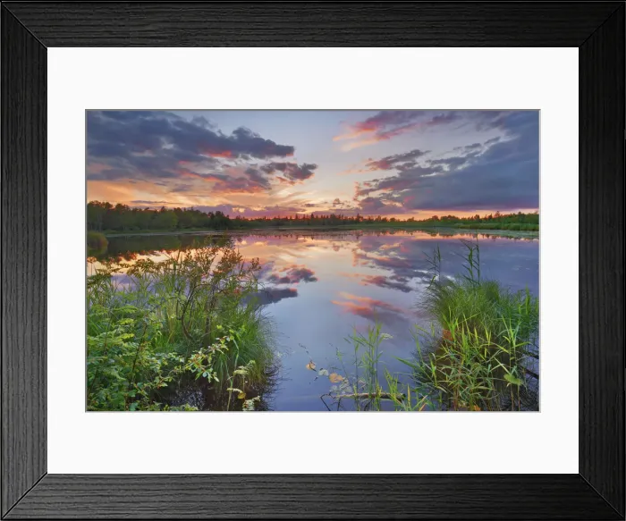Framed Print : Moorland in Wurzacher Ried - Germany, Baden-Wurttemberg, Tubingen, Ravensburg Framed Print : Moorland in Wurzacher Ried - Germany, Baden-Wurttemberg, Tubingen, Ravensburg