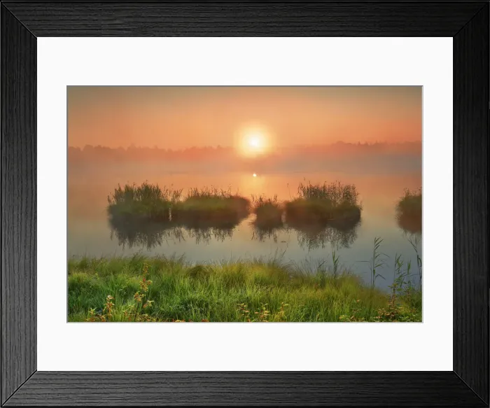 Framed Print : Moorland in Wurzacher Ried - Germany, Baden-Wurttemberg, Tubingen, Ravensburg