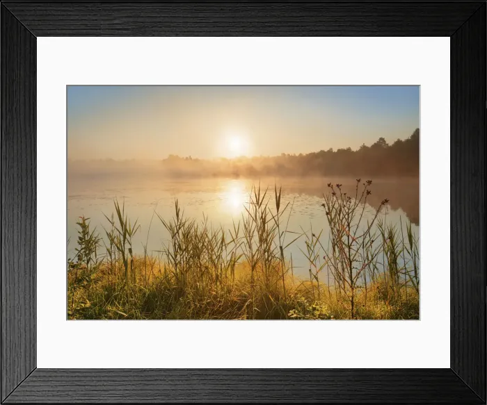 Framed Print : Moorland in Wurzacher Ried - Germany, Baden-Wurttemberg, Tubingen, Ravensburg Framed Print : Moorland in Wurzacher Ried - Germany, Baden-Wurttemberg, Tubingen, Ravensburg