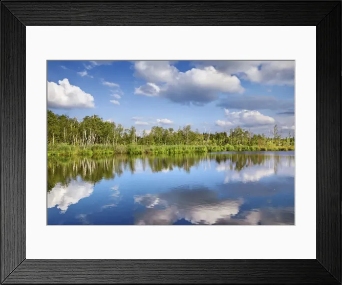 Framed Print : Moor lake in Pfrunger Ried - Germany, Baden-Wurttemberg, Sigmaringen, Ostrach, Ulzhausen Framed Print : Moor lake in Pfrunger Ried - Germany, Baden-Wurttemberg, Sigmaringen, Ostrach, Ulzhausen