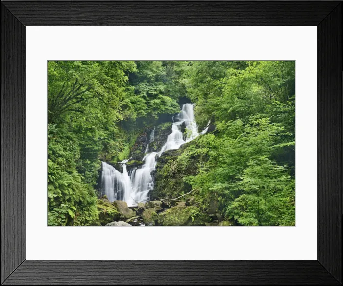 Framed Print : Waterfall in forest - Ireland, Kerry, Killarney, Torc Waterfall - Killarney National Park Framed Print : Waterfall in forest - Ireland, Kerry, Killarney, Torc Waterfall - Killarney National Park