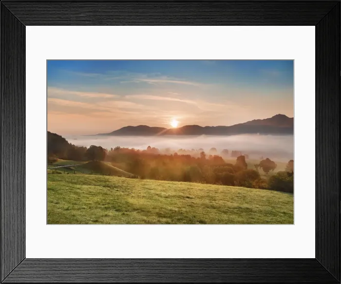 Framed Print : Misty mood in wetland - Germany, Bavaria, Upper Bavaria, Bad Tolz-Wolfratshausen, Kochel Framed Print : Misty mood in wetland - Germany, Bavaria, Upper Bavaria, Bad Tolz-Wolfratshausen, Kochel