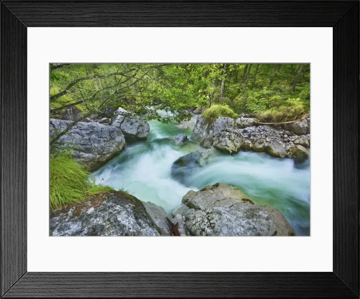 Framed Print : Brook in deciduous forest - Germany, Bavaria, Upper Bavaria, Berchtesgadener Land, Ramsau