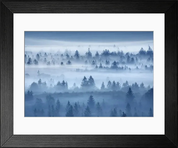 Framed Print : Misty mood in Pupplinger Au - Germany, Bavaria, Upper Bavaria, Bad Tolz-Wolfratshausen Framed Print : Misty mood in Pupplinger Au - Germany, Bavaria, Upper Bavaria, Bad Tolz-Wolfratshausen
