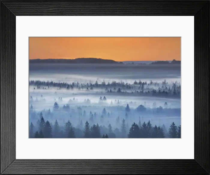 Framed Print : Misty mood in Pupplinger Au - Germany, Bavaria, Upper Bavaria, Bad Tolz-Wolfratshausen Framed Print : Misty mood in Pupplinger Au - Germany, Bavaria, Upper Bavaria, Bad Tolz-Wolfratshausen