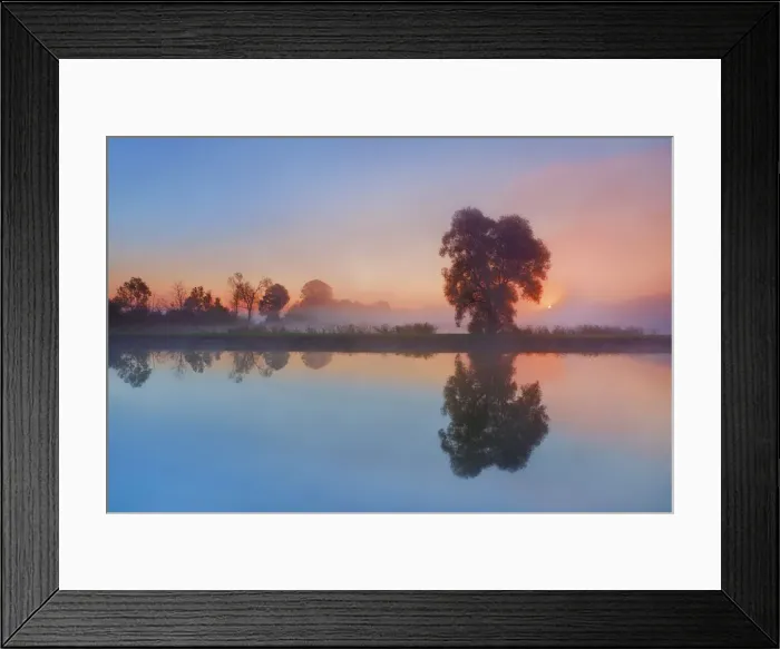Framed Print : Misty mood at pond - Germany, Bavaria, Upper Bavaria, Rosenheim, Bad Aibling Framed Print : Misty mood at pond - Germany, Bavaria, Upper Bavaria, Rosenheim, Bad Aibling