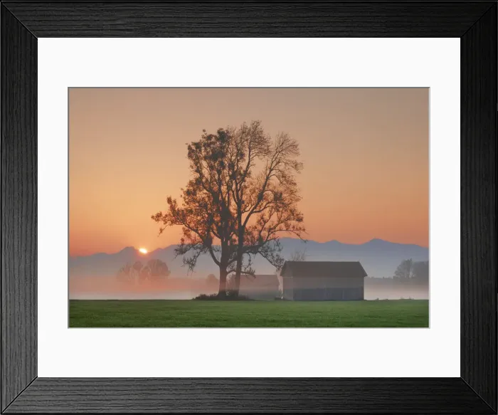 Framed Print : Misty mood with ash - Germany, Bavaria, Upper Bavaria, Rosenheim, Bad Aibling, Gries Framed Print : Misty mood with ash - Germany, Bavaria, Upper Bavaria, Rosenheim, Bad Aibling, Gries