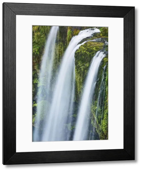 Framed Print : Waterfall - New Zealand, North Island, Northland, Whangarei, Whangarei, Whangarei Falls Framed Print : Waterfall - New Zealand, North Island, Northland, Whangarei, Whangarei, Whangarei Falls
