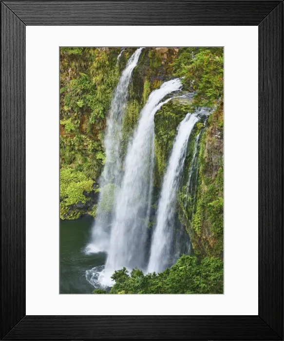 Framed Print : Waterfall - New Zealand, North Island, Northland, Whangarei, Whangarei, Whangarei Falls Framed Print : Waterfall - New Zealand, North Island, Northland, Whangarei, Whangarei, Whangarei Falls