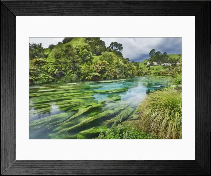 Framed Print : River landscape at Blue Spring - New Zealand, North Island, Waikato, South Waikato Framed Print : River landscape at Blue Spring - New Zealand, North Island, Waikato, South Waikato