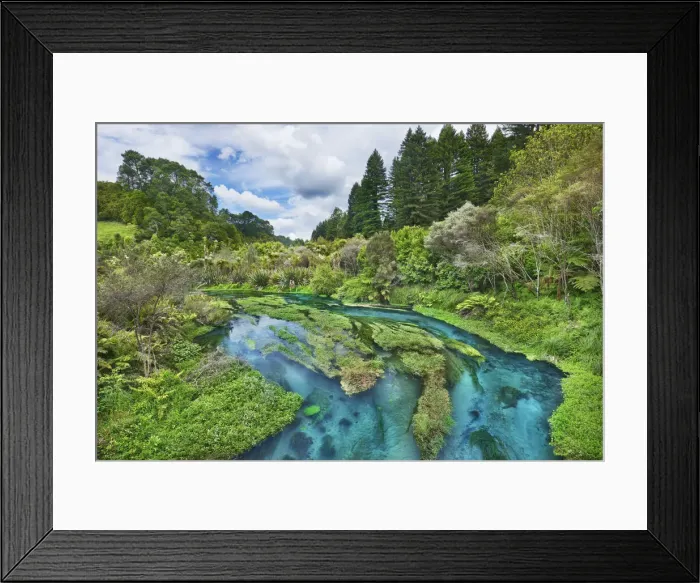 Framed Print : River landscape at Blue Spring - New Zealand, North Island, Waikato, South Waikato