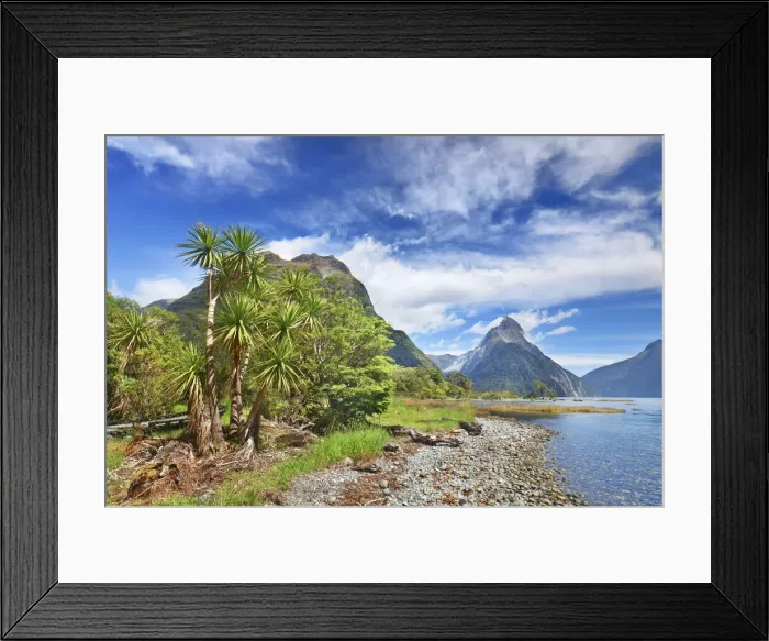 Framed Print : Fjord landscape at Mitre Peak - New Zealand, South Island, Southland Framed Print : Fjord landscape at Mitre Peak - New Zealand, South Island, Southland