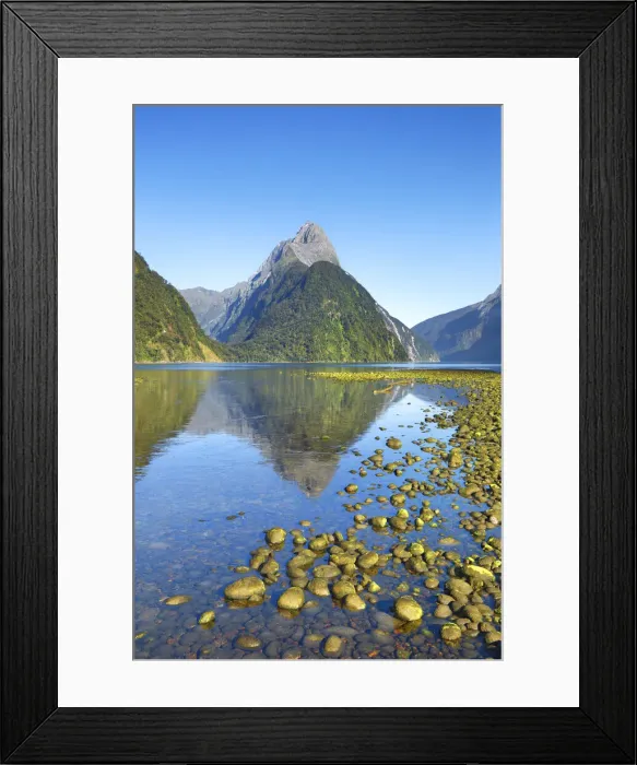 Framed Print : Fjord landscape at Mitre Peak - New Zealand, South Island, Southland Framed Print : Fjord landscape at Mitre Peak - New Zealand, South Island, Southland