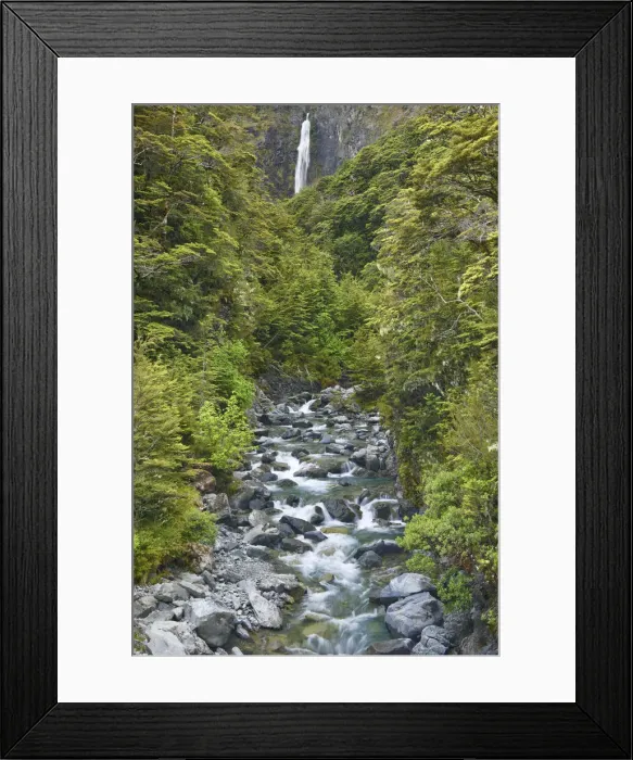 Framed Print : Waterfall in temperate rainforest - New Zealand, South Island, Canterbury, Selwyn Framed Print : Waterfall in temperate rainforest - New Zealand, South Island, Canterbury, Selwyn