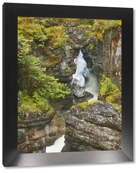 Brook gorge in Maligne Canyon - Canada, Alberta, Jasper National Park