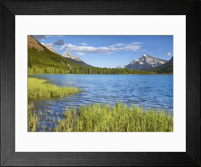 Framed Print : Mountain landscape at Waterfowl Lake - Canada, Alberta, Banff National Park Framed Print : Mountain landscape at Waterfowl Lake - Canada, Alberta, Banff National Park