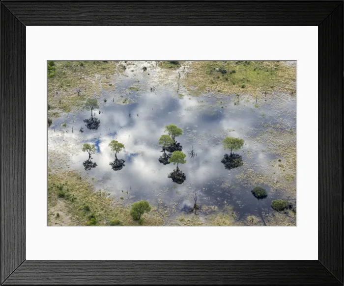 Framed Print : Aerial view of Khwai River, Okavango Delta, Botswana, Africa Framed Print : Aerial view of Khwai River, Okavango Delta, Botswana, Africa