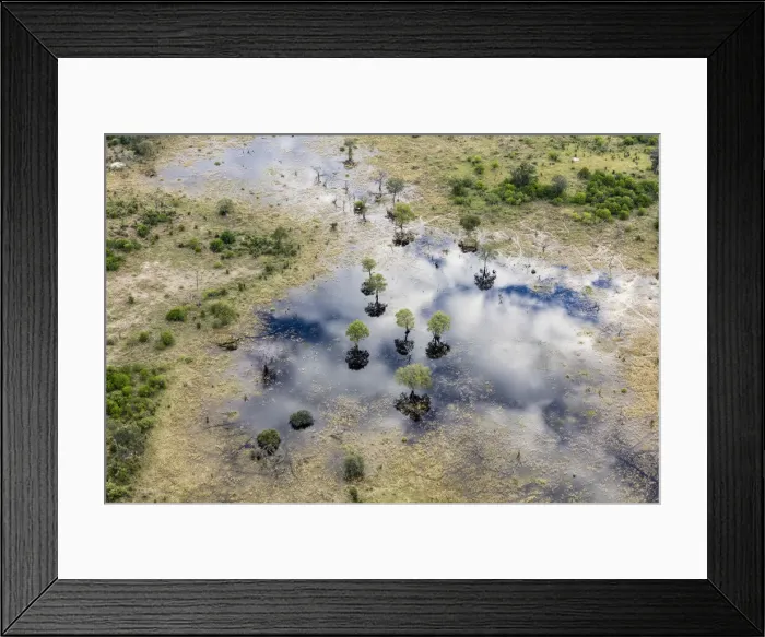 Framed Print : Aerial view of Khwai River, Okavango Delta, Botswana, Africa Framed Print : Aerial view of Khwai River, Okavango Delta, Botswana, Africa