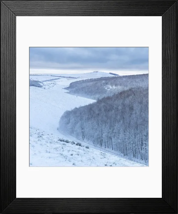 Framed Print : Snowy Melbury Down and Melbury Wood from Ashmore Down, Cranborne Chase, Dorset, England Framed Print : Snowy Melbury Down and Melbury Wood from Ashmore Down, Cranborne Chase, Dorset, England