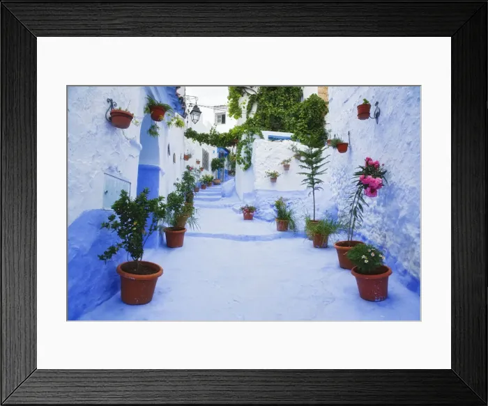Framed Print : Blue painted steps with flower pots, Chefchaouen, Morocco