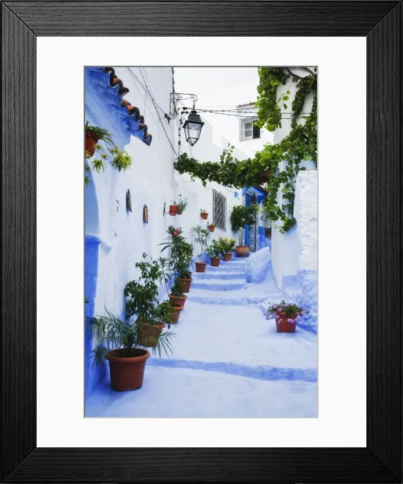 Framed Print : Blue painted steps with flower pots, Chefchaouen, Morocco Framed Print : Blue painted steps with flower pots, Chefchaouen, Morocco