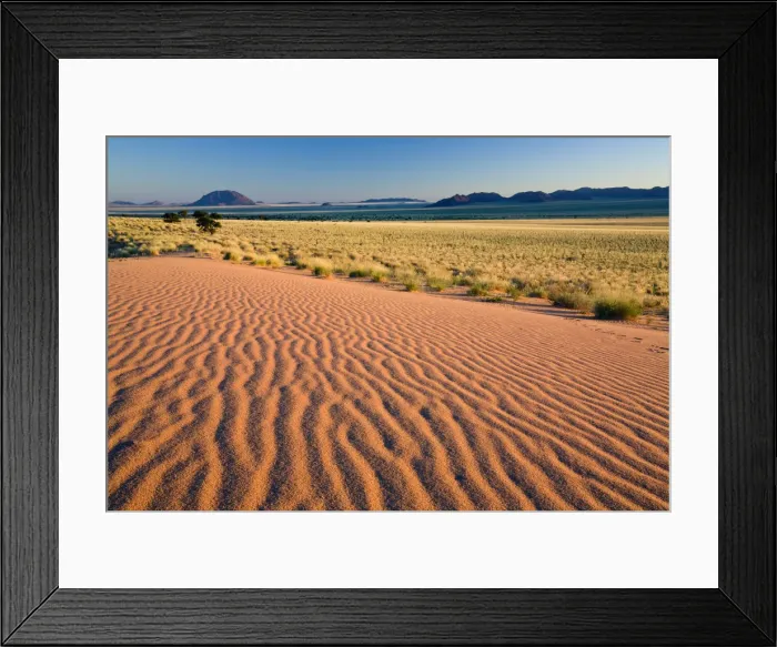 Framed Print : Looking across the dunes near Aus, Namibia, Africa