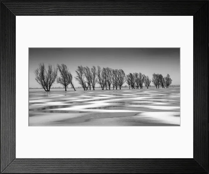 Framed Print : Frozen floodwater, Biebrza Marshes, Poland Framed Print : Frozen floodwater, Biebrza Marshes, Poland