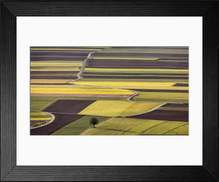 Framed Print : Arable field patterns, Ljubljana Basin, Slovenia Framed Print : Arable field patterns, Ljubljana Basin, Slovenia