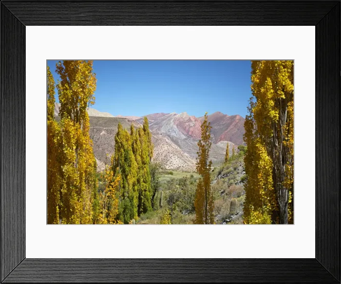 Framed Print : Autumn trees with the Hornocal (14 colours mountain) in the background, Cianzo Valley Framed Print : Autumn trees with the Hornocal (14 colours mountain) in the background, Cianzo Valley