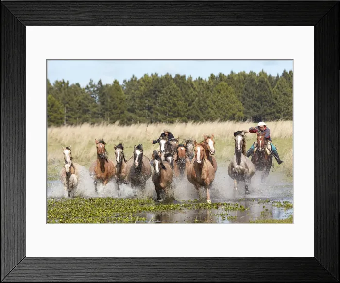 Framed Print : Two gauchos drive a group of horses through a lagoon of the Estancia Buena Vista, Esquina Framed Print : Two gauchos drive a group of horses through a lagoon of the Estancia Buena Vista, Esquina