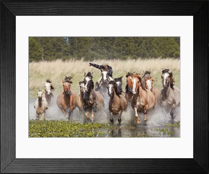 Framed Print : A gaucho drives a group of horses through a lagoon of the Estancia Buena Vista, Esquina Framed Print : A gaucho drives a group of horses through a lagoon of the Estancia Buena Vista, Esquina