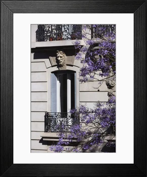 Framed Print : Colonial style architecture in a building of the Recoleta neighborhood during spring, with Jacaranda's trees in flower, Buenos Aires, Argentina Framed Print : Colonial style architecture in a building of the Recoleta neighborhood during spring, with Jacaranda's trees in flower, Buenos Aires, Argentina
