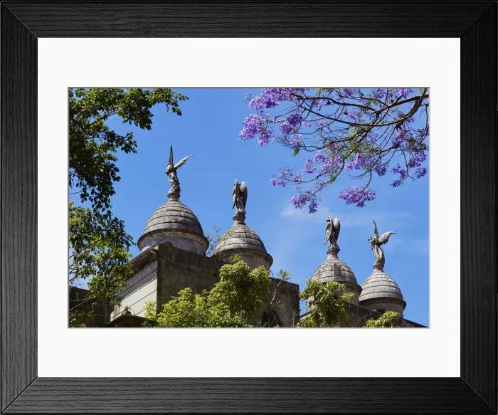 Framed Print : Sculptures of angels inside the Recoleta monumental cemetery during springtime with Framed Print : Sculptures of angels inside the Recoleta monumental cemetery during springtime with