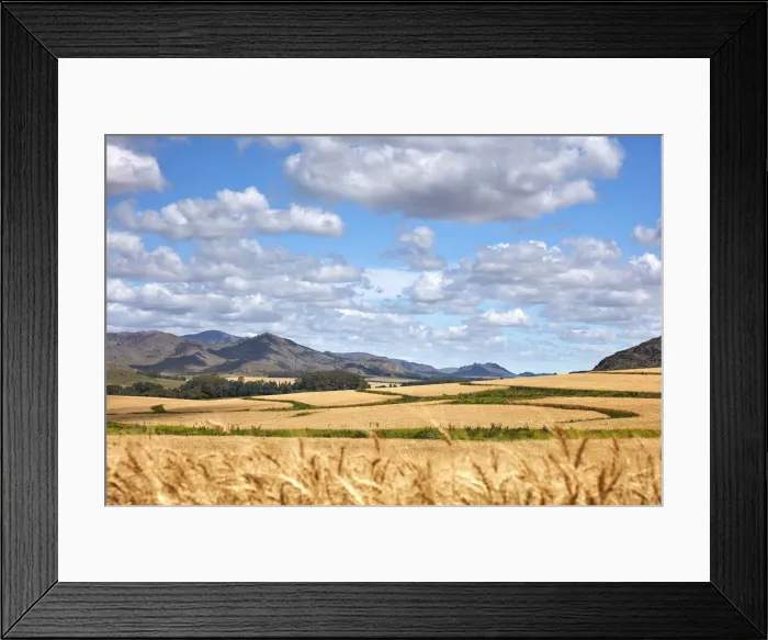 Framed Print : A field of wheat in the hills of Sierra de la Ventana, Argentina