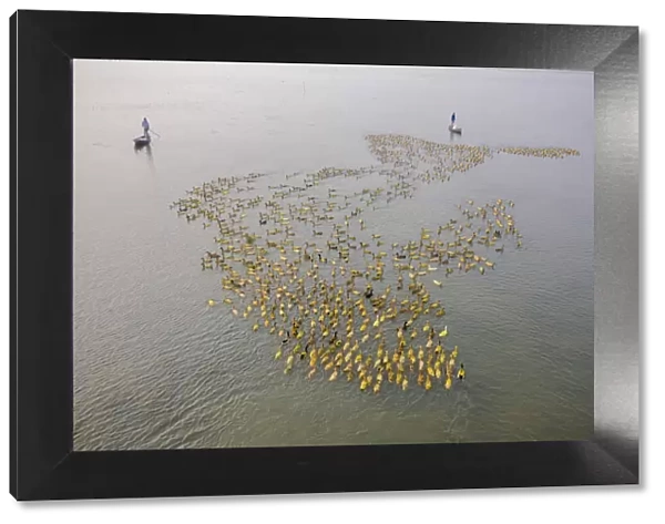 Aerial view of a fisherman standing on a canoe following a flock of ducks along Baulai