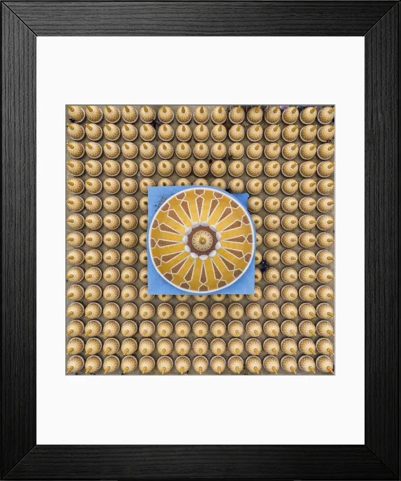 Framed Print : Aerial view of the geometric pattern from 201 Gombuj Masjid islamic mosque along Jhinai Framed Print : Aerial view of the geometric pattern from 201 Gombuj Masjid islamic mosque along Jhinai