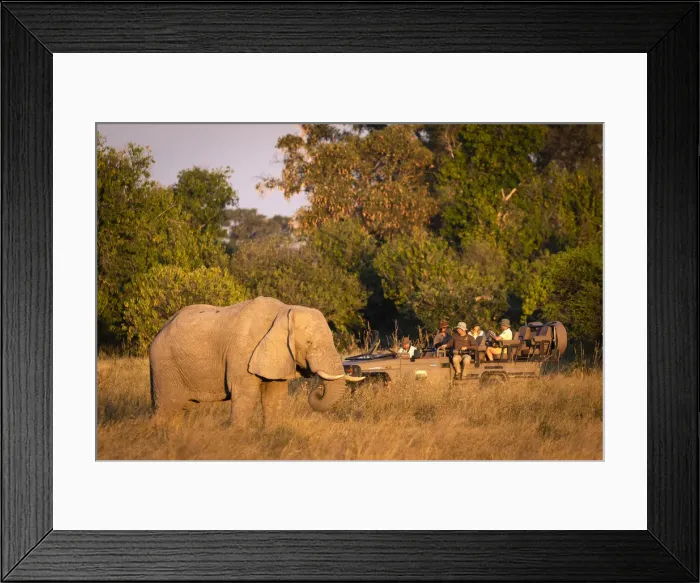 Framed Print : People on Safari, Okavango Delta, Botswana Framed Print : People on Safari, Okavango Delta, Botswana
