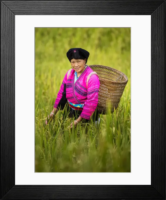 Framed Print : Yao minority lady, Longji rice terraces, Longshen, China Framed Print : Yao minority lady, Longji rice terraces, Longshen, China