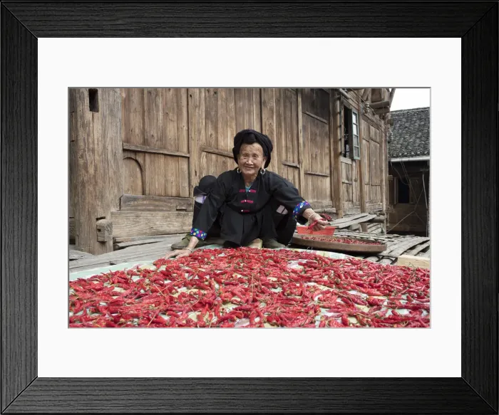 Framed Print : Yao lady drying chillies, Longji, China Framed Print : Yao lady drying chillies, Longji, China